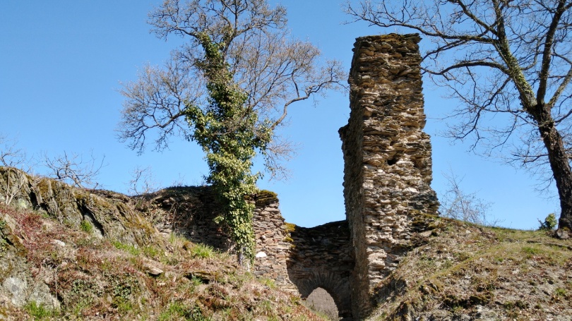 Ruine Waldeck bei Lorch am Rhein. Foto: Simon Colin